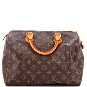 Louis Vuitton Speedy Handbag Canvas 30 #238686L13B